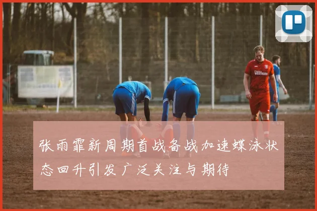 张雨霏新周期首战备战加速蝶泳状态回升引发广泛关注与期待