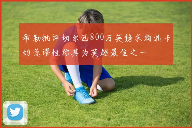 希勒批评切尔西800万英镑求购扎卡的荒谬性称其为英超最佳之一