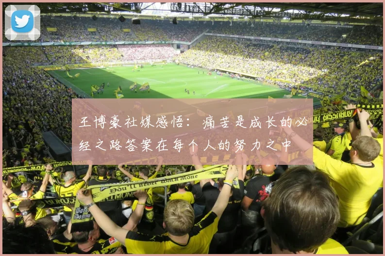 王博豪社媒感悟：痛苦是成长的必经之路答案在每个人的努力之中