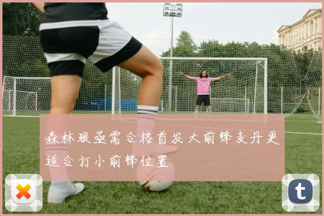 森林狼亟需合格首发大前锋麦丹更适合打小前锋位置