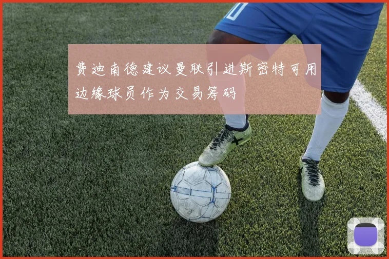 费迪南德建议曼联引进斯密特可用边缘球员作为交易筹码